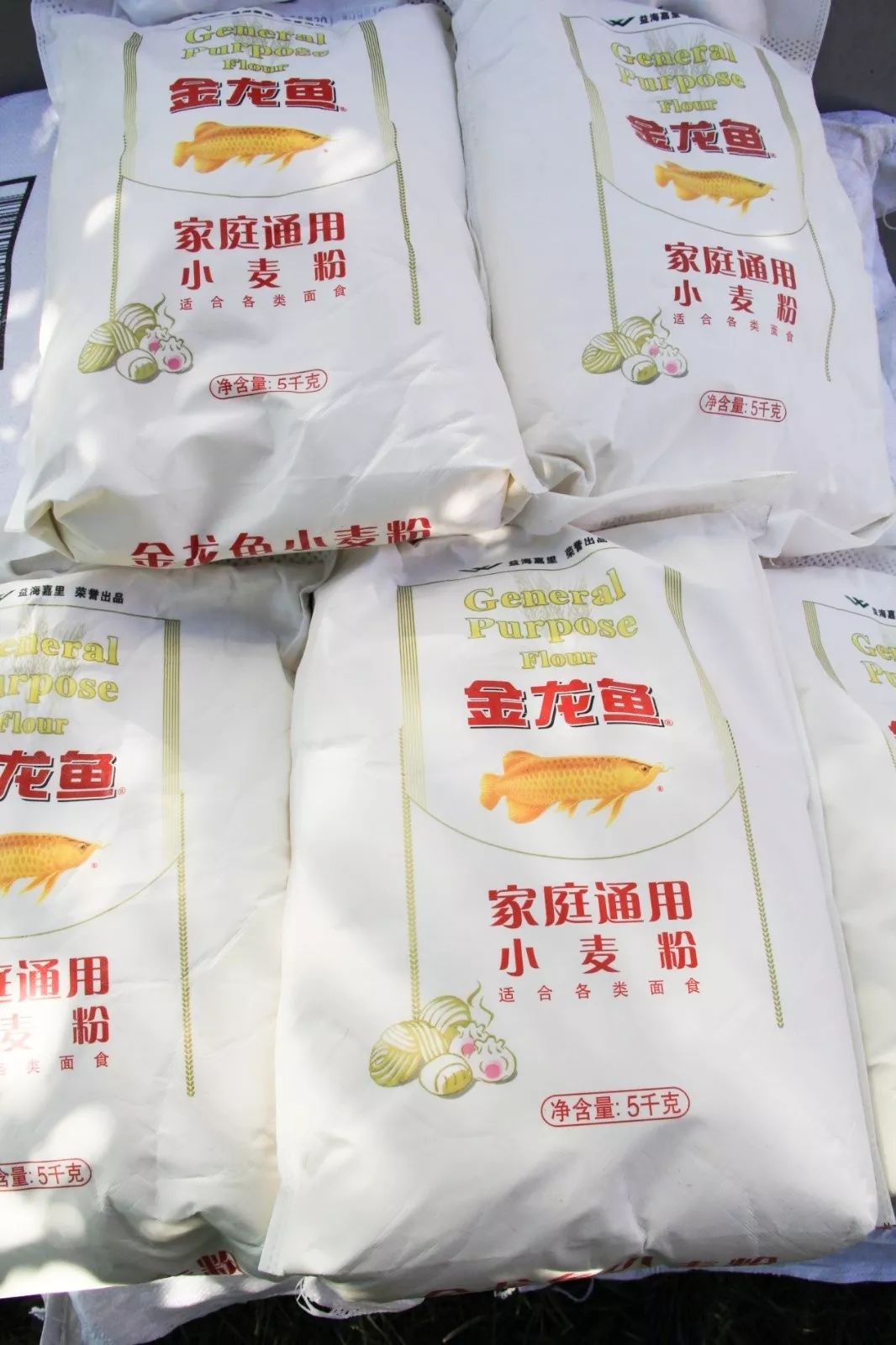 DG视讯·(中国游)有限公司官网